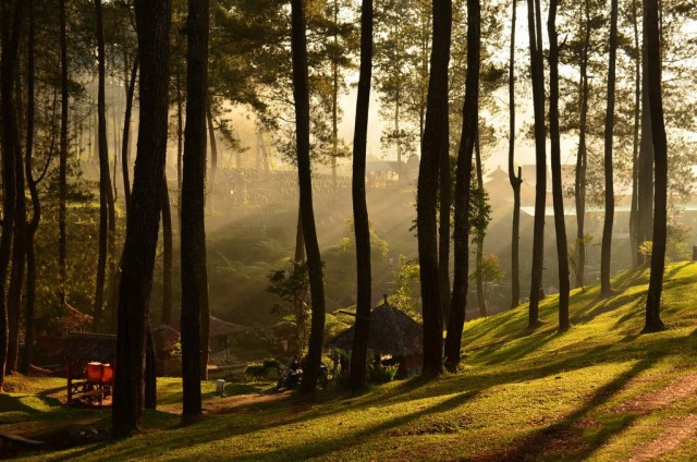 5 Alasan Hiking di Bandung Wajib Dicoba (1)