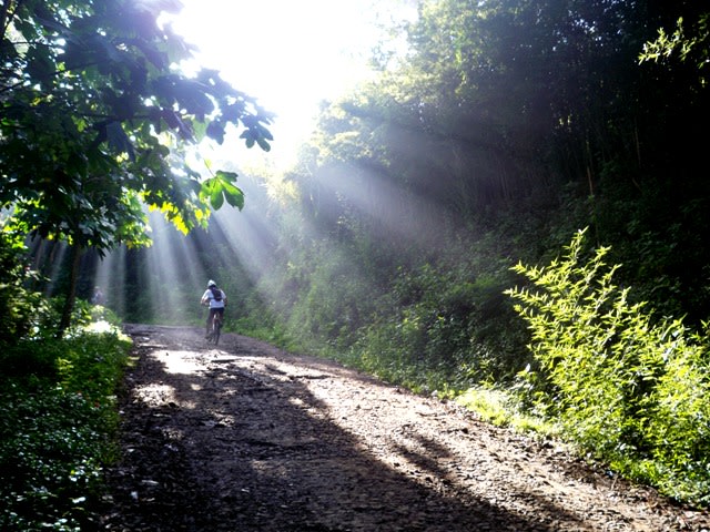 5 Alasan Hiking di Bandung Wajib Dicoba (2)