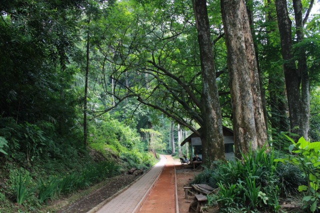 Berwisata di Taman Hutan Raya Bandung (1)