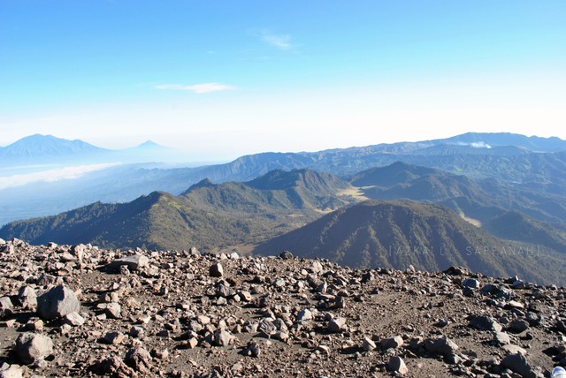 Novel 5cm, Persahabatan, Perjalanan dan Cinta. (1)