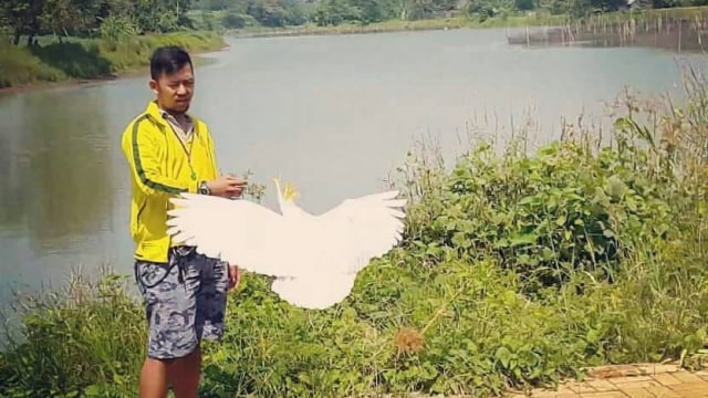 Ahmad Sofian, Pecinta Burung Paruh Bengkok (Foto: Dok. Ahmad Sofian)