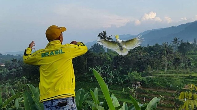 Ahmad Sofian, Pecinta Burung Paruh Bengkok (Foto: Dok. Ahmad Sofian)
