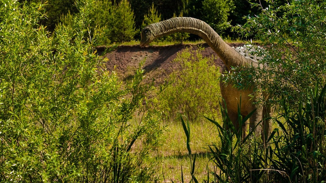 Ilustrasi dinosaurus. (Foto: Pixabay)