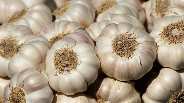 Bawang putih (Foto: Pixabay)