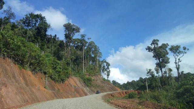 Jalur perbatasan Kalimantan Barat-Malaysia (Foto: Novan Nurul Alam/kumparan)