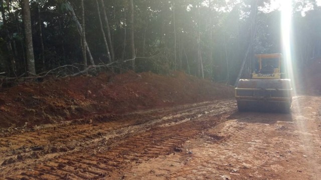 Jalur perbatasan Kalimantan Barat-Malaysia (Foto: Novan Nurul Alam/kumparan)