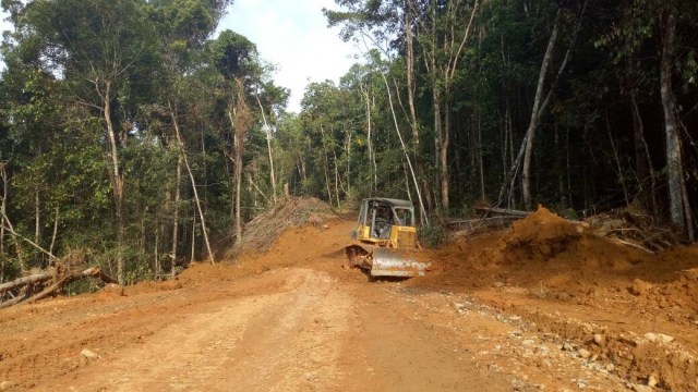 Jalur perbatasan Kalimantan Barat-Malaysia (Foto: Novan Nurul Alam/kumparan)