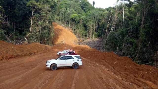 Jalur perbatasan Kalimantan Barat-Malaysia (Foto: Novan Nurul Alam/kumparan)