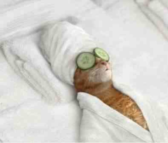 LONG WEEKEND