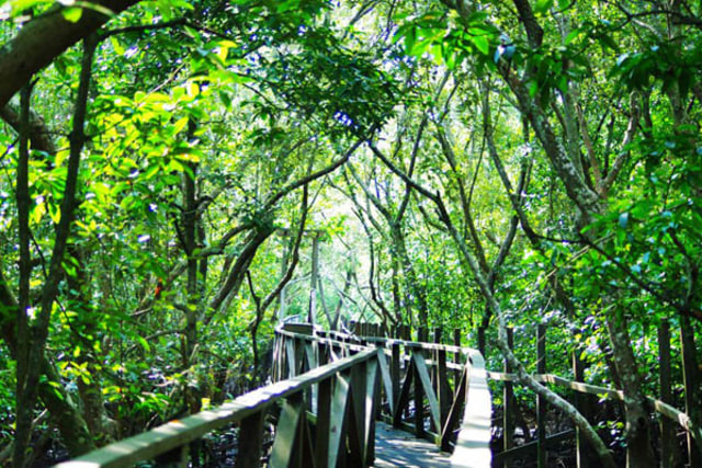 Balikpapan, Kota Minyak di Ujung Kalimantan (1)