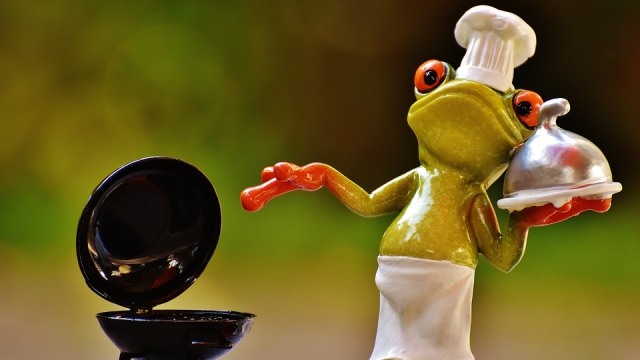 Ilustrasi mitos-mitos seputar katak. (Foto: freegreatpicture.com)