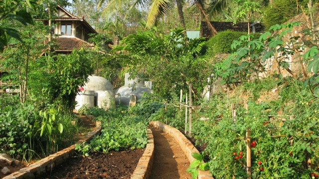 Kebun sayuran di Bumi Langit Institute (Foto: Dok. Website Bumi Langit)