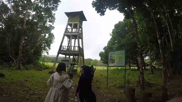 Savannah Cidaon, Ujung Kulon, Banten (4)