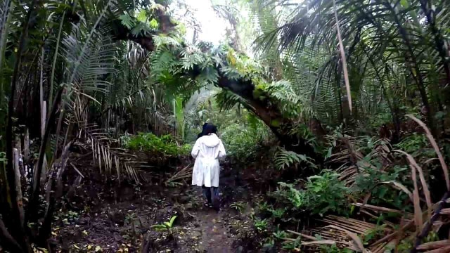 Savannah Cidaon, Ujung Kulon, Banten (5)