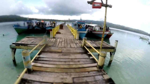 Savannah Cidaon, Ujung Kulon, Banten (8)