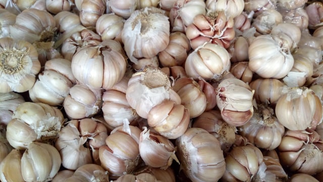 Bawang putih (Foto: Ela Nurlaela/kumparan)