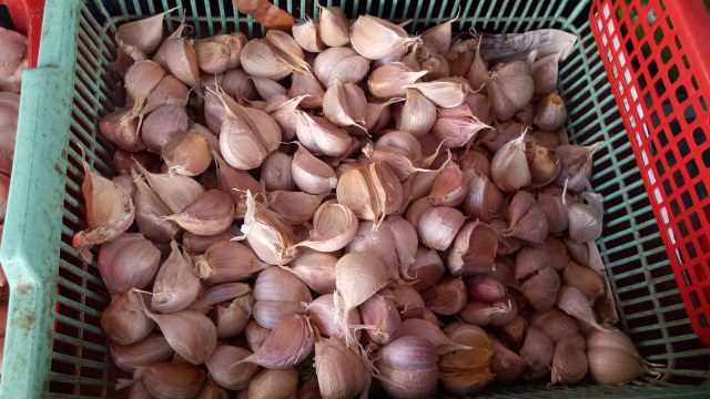 Bawang putih (Foto: Ela Nurlaela/kumparan)
