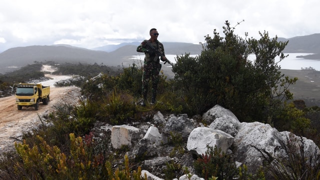 Kunjungan presiden ke Wamena (Foto: Indrianto Eko Suwarso/Antara)