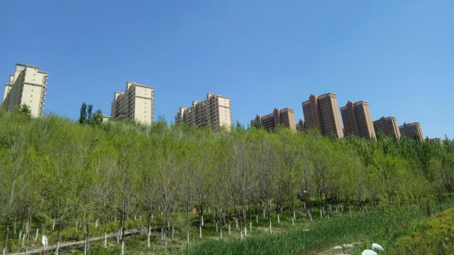Keasrian Kota di Xinjiang. (Foto: Wisnu Prasetiyo/kumparan)