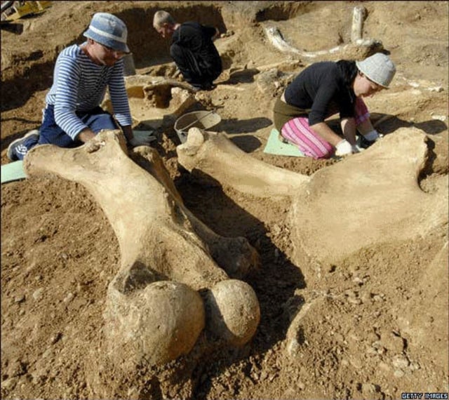 5 Cabang Ilmu Geografi: 3. Paleontologi