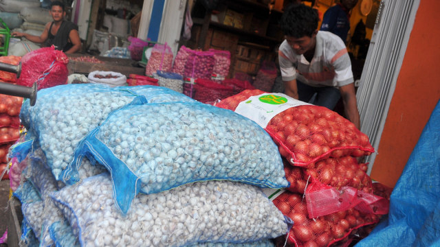 Pasokan Bawang putih. (Foto: Antara/Feny Selly)