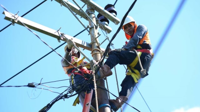 PLN Bakal Terangi Seluruh Dusun Pulau Bawean (Foto: Edy Sofyan/kumparan)