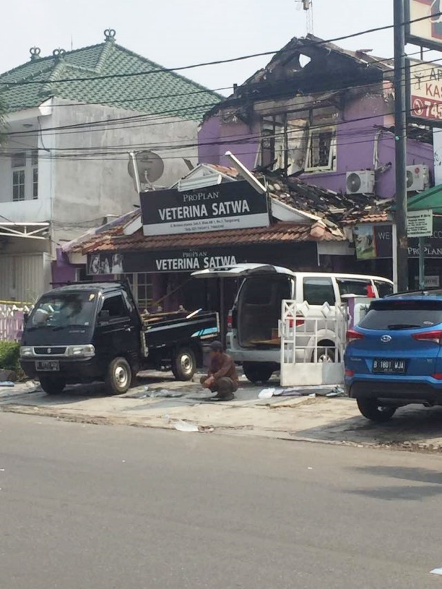 Suasana pet shop di Bintaro setelah terbakar (Foto: Dina/pembaca kumparan)