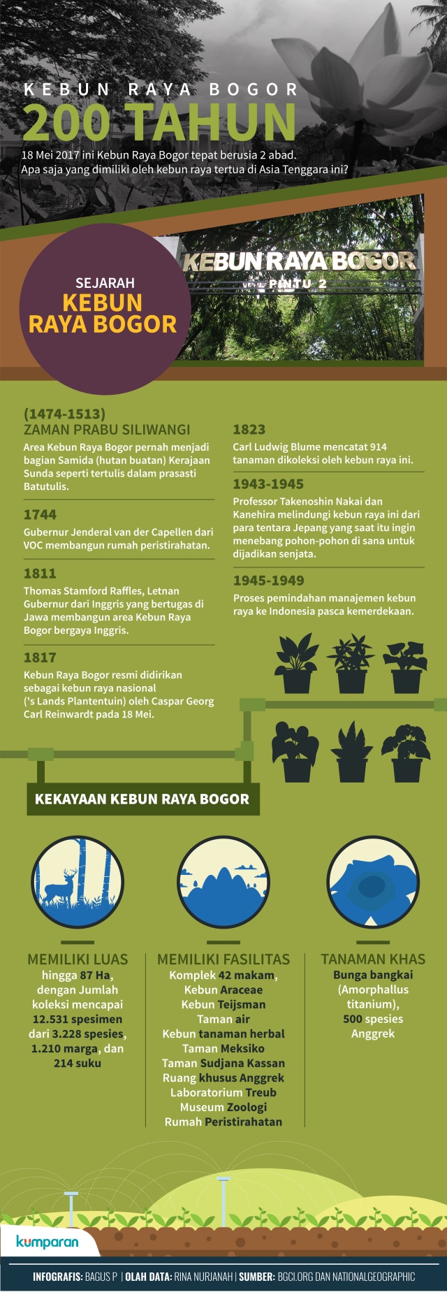 Infografis 200 Tahun Kebun Raya Bogor (Foto: Bagus Permadi/kumparan)