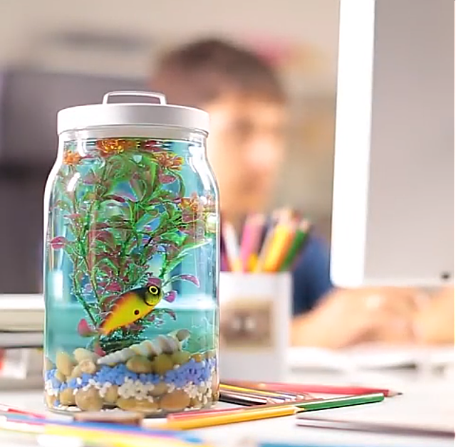 Aquarium in a jar!