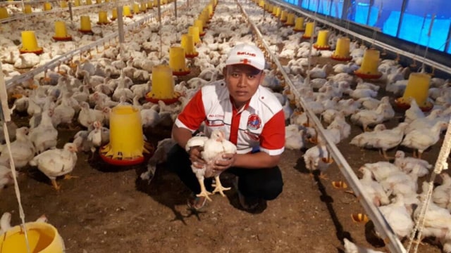 Abdullah Hadi, juragan ayam. (Foto: Dok. Aji Surya)