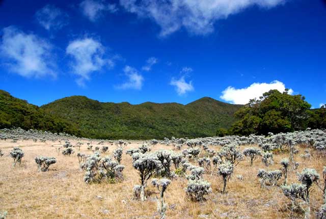 Jangan Takut Naik Gunung! 5 Gunung ini Cukup Ramah Untuk Kamu Taklukan (3)