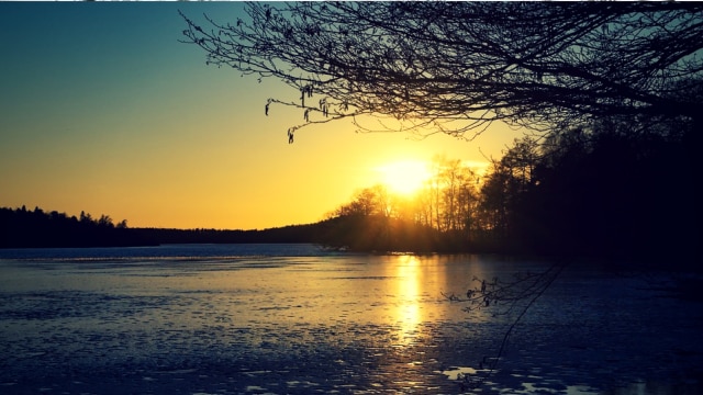 Ilustrasi sunyi (Foto: qimono)