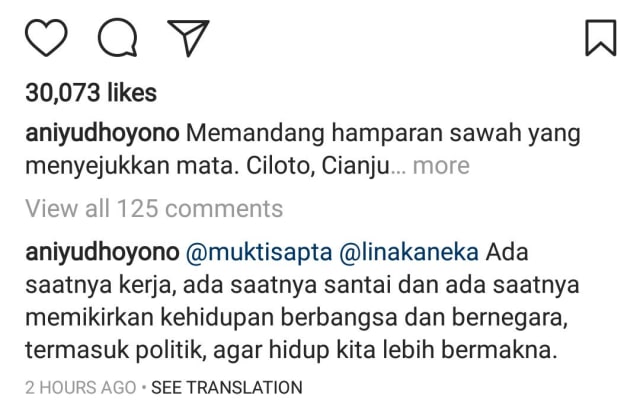 Komentar di postingan Instagram @aniyudhoyono (Foto: Instagram @aniyudhoyono)