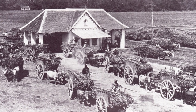 Berkenalan Sejarah KITA Lewat Perencanaan Ruang Tata Kota di Era Kolonial (2)