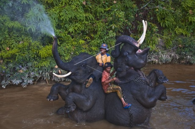 5 Wisata Alam yang Jadi Primadona Provinsi Riau
