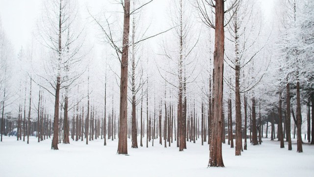 5 Hal yang Cuma Bisa Kamu Temuin di Korea