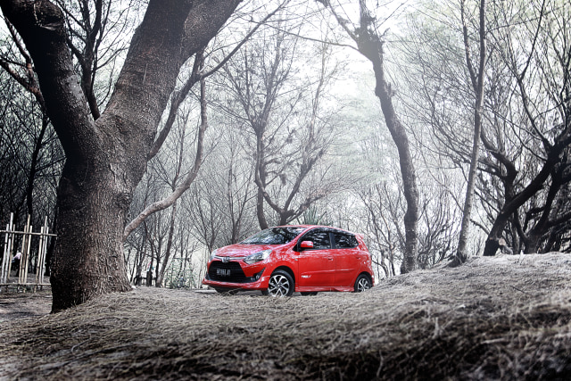 New Toyota Agya (Foto: Dok. TAM)