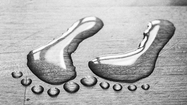 Ilustrasi fotografi still life hitam putih (Foto: Pinterest)