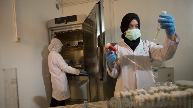 Fasilitas Cold Storage Pabrik PT DPUM (Foto: Dok PT DPUM)
