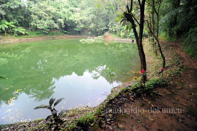 Telaga Rowo Bayu: Hening, Adem dan Magis