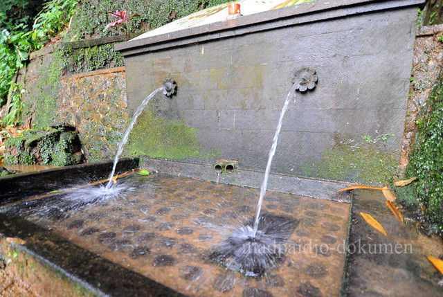 Telaga Rowo Bayu: Hening, Adem dan Magis (2)