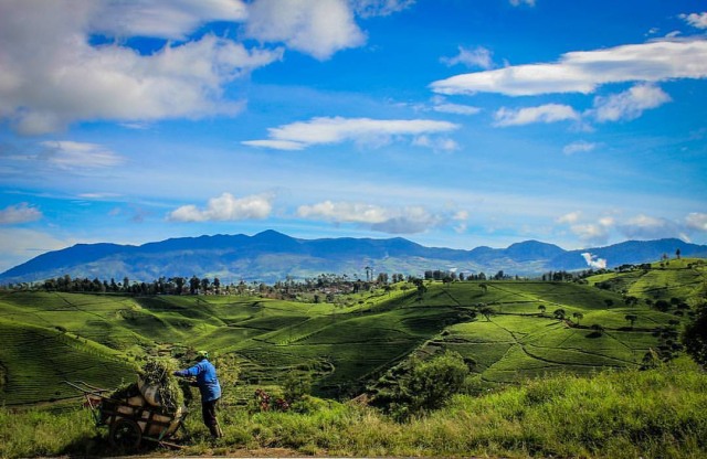 3 Rekomendasi Tempat Wisata di Pangalengan yang Wajib Kamu Kunjungi