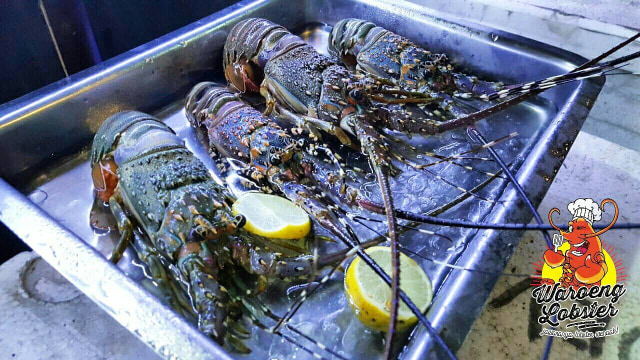 Kuliner Bogor: Tempat Makan Lobster Murah, Rasa Pinggir Pantai (1)