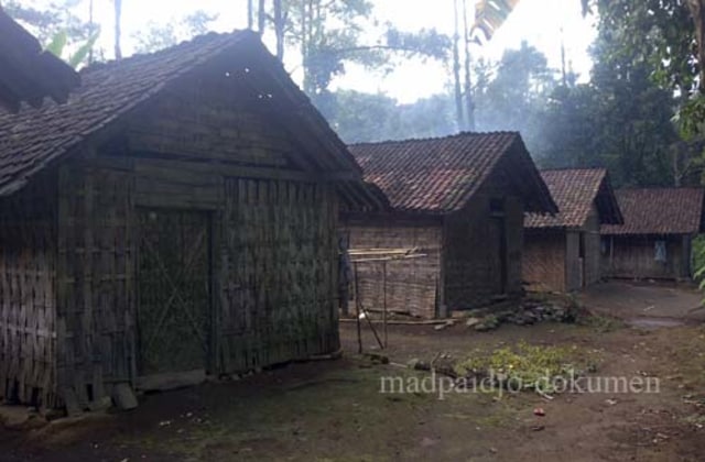 Secuil Kisah Denyut Nadi Penghuni Rimba Raya (3)