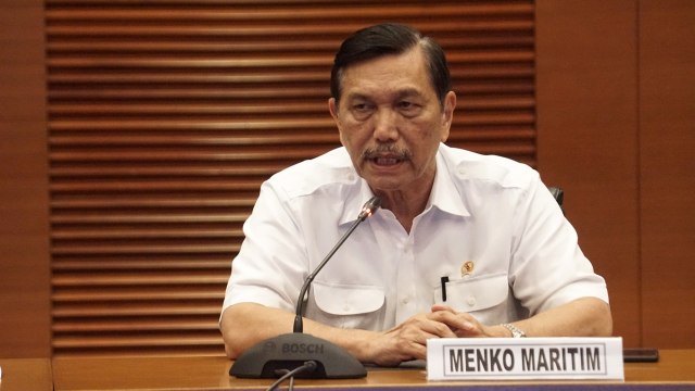 Luhut Binsar Panjaitan Foto: Aditia Noviansyah/kumparan