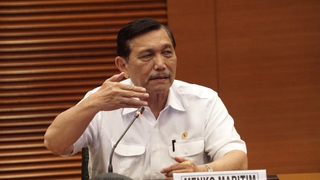 Luhut Binsar Panjaitan Foto: Aditia Noviansyah/kumparan