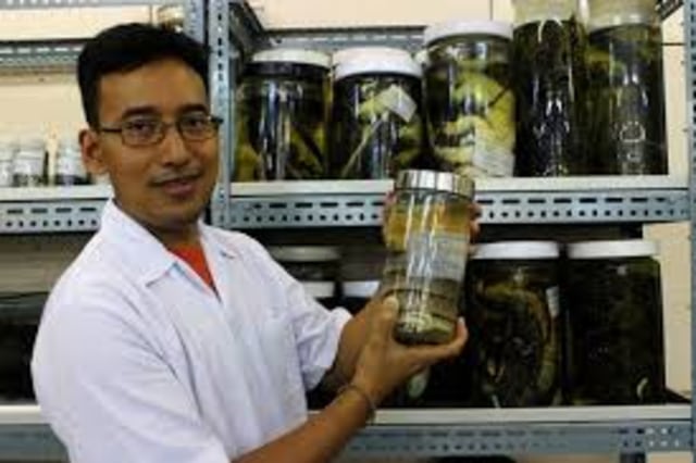 Amir Hamidy (Foto: Lipi.go.id)