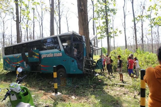 Bus Garuda Mas Jakarta-Cepu Tabrak Pohon Jati, Satu Orang Meninggal