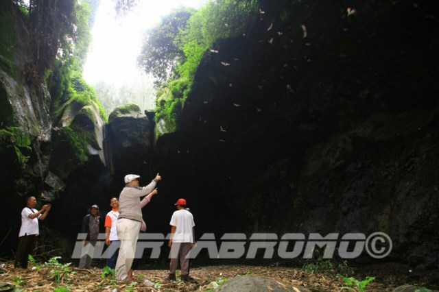 Goa ‘Batman’, Wisata Alternatif Gunung Bromo