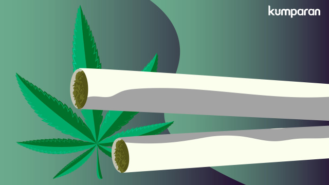 Ilustrasi ganja.  (Foto: Muhammad Faisal Nu'man/kumparan)